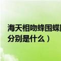 海天相吻蜂围蝶阵的意思是什么（海天相吻蜂围蝶阵的意思分别是什么）