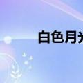 白色月光演员表（白色月光介绍）