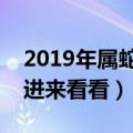 2019年属蛇全年运势及分解（属蛇的你们快进来看看）