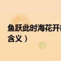 鱼跃此时海花开彼岸天什么意思（鱼跃此时海花开彼岸天的含义）
