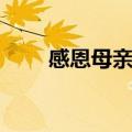 感恩母亲的名言（有关母亲的名言）