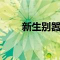 新生别嚣张（关于新生别嚣张简介）