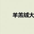 羊羔绒大衣怎么洗（洗大衣的方法）