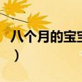 八个月的宝宝吃什么辅食好（宝宝可以吃什么）