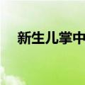 新生儿掌中宝（关于新生儿掌中宝简介）