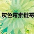 灰色霉素链霉菌（关于灰色霉素链霉菌介绍）