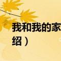我和我的家乡电影剧情（天上掉下个UFO介绍）