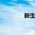新生代（关于新生代简介）