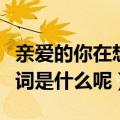 亲爱的你在想我吗歌词（亲爱的你在想我吗歌词是什么呢）