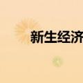 新生经济学（关于新生经济学简介）