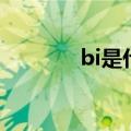 bi是什么取向（bi是双性恋）