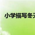 小学描写冬天的诗句（哪些诗句描写冬天）