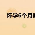 怀孕6个月吃什么好（怀孕6月推荐食谱）