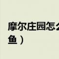 摩尔庄园怎么使用渔网（这样做能捕获更多的鱼）