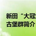 新田“大冠堡”古堡群（关于新田“大冠堡”古堡群简介）