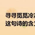寻寻觅觅冷冷清清凄凄惨惨戚戚是什么意思（这句诗的含义）