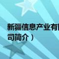 新疆信息产业有限责任公司（关于新疆信息产业有限责任公司简介）