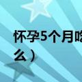 怀孕5个月吃什么好（怀孕五个月需要补充什么）