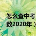 怎么查中考成绩2020（怎么查询中考成绩分数2020年）