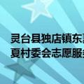 灵台县独店镇东夏村委会志愿服务队（关于灵台县独店镇东夏村委会志愿服务队介绍）