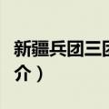 新疆兵团三团核桃（关于新疆兵团三团核桃简介）