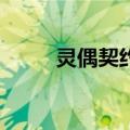 灵偶契约2（关于灵偶契约2介绍）