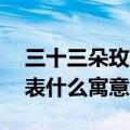 三十三朵玫瑰花语是代表什么（33朵玫瑰代表什么寓意）