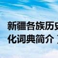新疆各族历史文化词典（关于新疆各族历史文化词典简介）