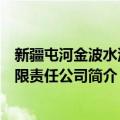 新疆屯河金波水泥有限责任公司（关于新疆屯河金波水泥有限责任公司简介）
