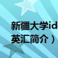 新疆大学idea精英汇（关于新疆大学idea精英汇简介）