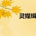 灵媒缉凶（关于灵媒缉凶介绍）