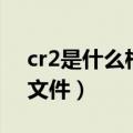 cr2是什么格式（CR2是佳能相机RAW格式文件）
