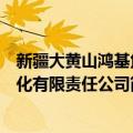 新疆大黄山鸿基焦化有限责任公司（关于新疆大黄山鸿基焦化有限责任公司简介）