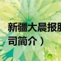 新疆大晨报股份公司（关于新疆大晨报股份公司简介）