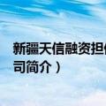 新疆天信融资担保有限公司（关于新疆天信融资担保有限公司简介）