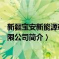 新疆宝安新能源矿业有限公司（关于新疆宝安新能源矿业有限公司简介）