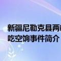 新疆尼勒克县两教师吃空饷事件（关于新疆尼勒克县两教师吃空饷事件简介）