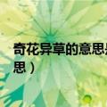 奇花异草的意思是什么异的意思是什么（词语奇花异草的意思）