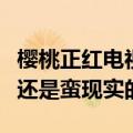 樱桃正红电视剧第一经典台词（樱桃正红剧情还是蛮现实的）