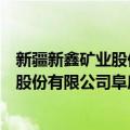 新疆新鑫矿业股份有限公司阜康冶炼厂（关于新疆新鑫矿业股份有限公司阜康冶炼厂简介）