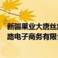 新疆果业大唐丝路电子商务有限公司（关于新疆果业大唐丝路电子商务有限公司简介）