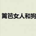 篱笆女人和狗歌词（了解是哪部剧的主题曲）