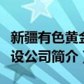 新疆有色黄金建设公司（关于新疆有色黄金建设公司简介）