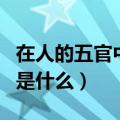 在人的五官中哪个器官最怕冷（最怕冷的五官是什么）