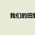 我们的田野歌词（我们的田野歌简介）