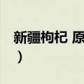 新疆枸杞 原变种（关于新疆枸杞 原变种简介）