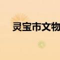 灵宝市文物志（关于灵宝市文物志介绍）