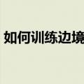 如何训练边境牧羊犬（边境牧羊犬训练方法）