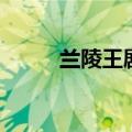 兰陵王剧情介绍（兰陵王的剧情）