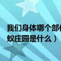 我们身体哪个部位不会轻易被晒黑蚂蚁庄园7月2号答案（蚂蚁庄园是什么）